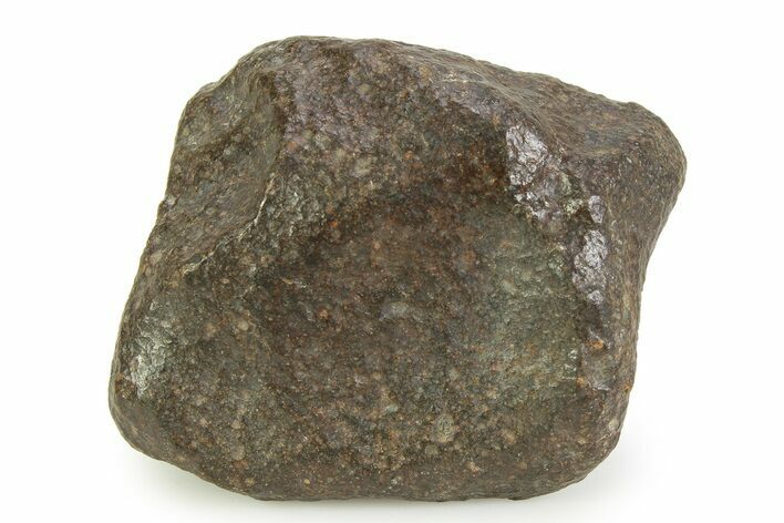 OC Chondrite Meteorite ( g) - NWA #350994